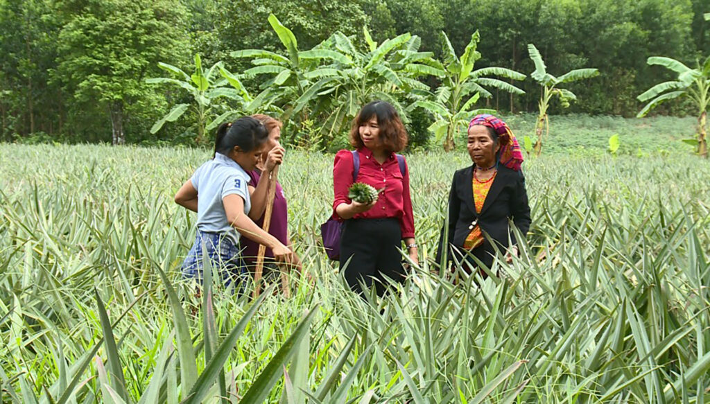 20. Tác nghiệp tại Lào